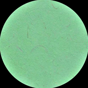 Nepalese Lokta Sheet Paper Apple Green